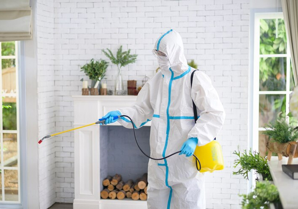 24-7-pest-control-service-for-immediate-help-and-lasting-results