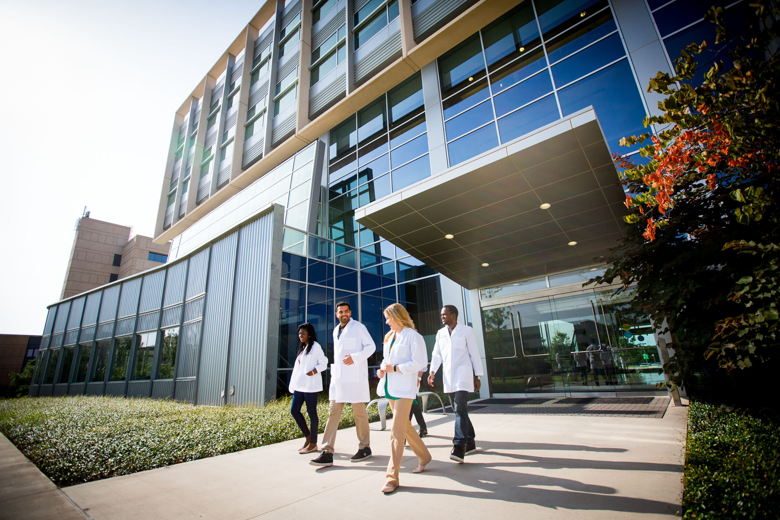 Medical Schools