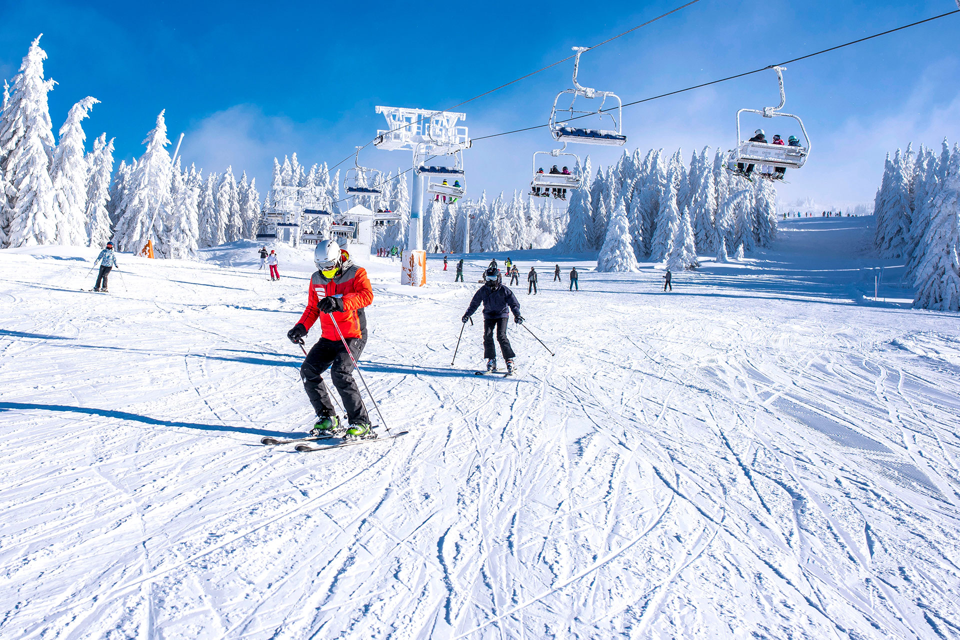 Skiing